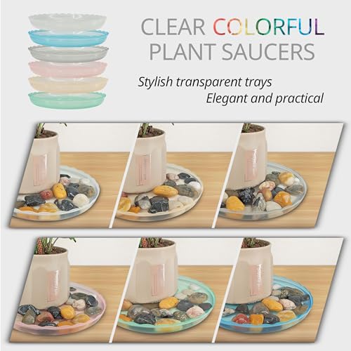 12Pcs Clear Plant Saucer, 6 8 10 Inch Durable Plastic Plant Tray, Round Plant Pot Saucers, Drip Tray for Indoor and Outdoor Garden, Amber Brown - color: Amber Brown(6" 8" 10")