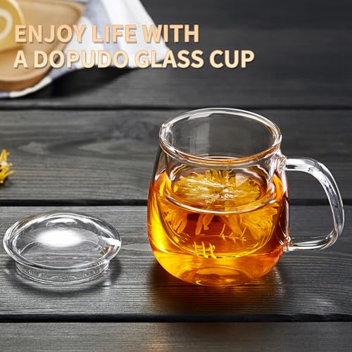 DOPUDO Large Glass Tea Cup, 25.6 oz Borosilicate Glass Tea Mug with Infuser and Lid, Clear Tea Cups for Brewing Scented Tea and Tea Bag. - size: 25.6OZ