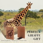 Giraffe Gifts, Giraffe Bookends - Heavy Duty Iron & Ebony Wood Book Ends for Shelves Bookcase Desk - 1 Pair, 4.72x6.69 Inches - Texture - color: Texture