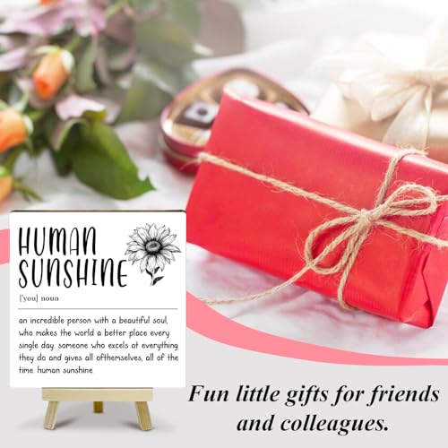 Home Office Decor, Human Sunshine Definition Desk Decor, Employee Appreciation Gifts, Admin Professionals Day Gifts, Teacher Mentor Gifts (MP08) - color: MP08
