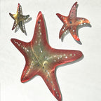 LiveInUrban Coastal Wall Art Starfish Metal Wall Sculptures, Ocean Beach Themed Metal Hanging Home Decoration 3PCS 15.6"x12.7" - color: starfish