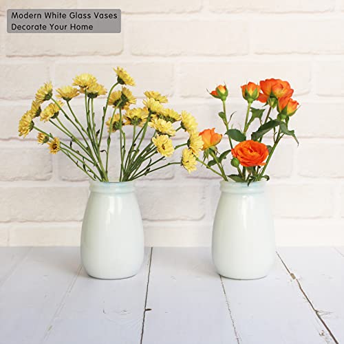 YANLING 6 Pack White Vase for Decor Ceramic Vase for Flowers, Small Bud Vases for Home Decor White Flower Vase, Boho Vases Dried Flowers Vases - color: White-d, size: 6 Pack-Small