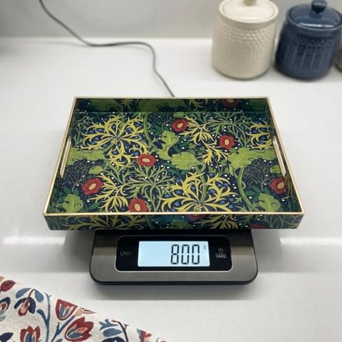 15.8" x 11.8" Navy Green Plastic Serving Tray with Handles, Seaweed & Poppy Botanical Floral Pattern with Red & Blue Accents and Gold Trim, for Ottoman, Coffee Table, Vanity - color: Seaweed & Poppy Botanical