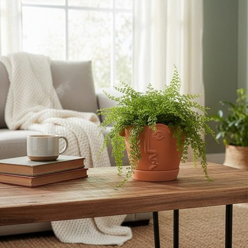 HERDUK 8 Inch Terracotta Abstract Face Planter with Drainage & Saucer – Large Artistic Statement Pot for Indoor & Outdoor Plants, Sculptural Boho Home Decor, Unique Art Gift - size: 8 Inch