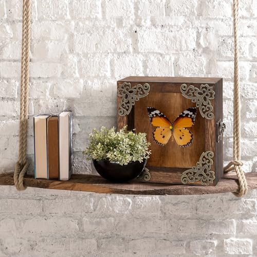 Taxidermy Butterfly Shadow Box Picture Frame - Real Framed Butterflies Meticulously Handcrafted, Framed Butterfly Taxidermy for Dark Academia Decor (Golden Nymphalid (Nymphalidae)) - color: Golden Nymphalid (Nymphalidae)