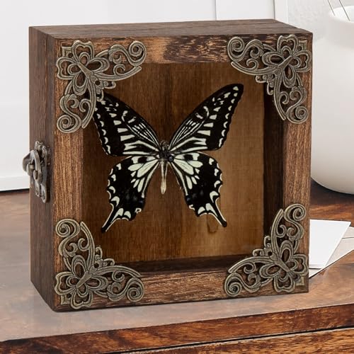 Taxidermy Butterfly Shadow Box Picture Frame - Real Butterfly Framed Meticulously Handcrafted, Butterfly in Frame for Gothic Room Decor (Citrus Swallowtail Butterfly (Family Papilionidae)) - color: Citrus Swallowtail Butterfly (Family Papilionidae)
