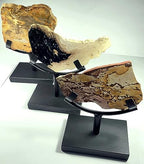 6.2" Display Stand for Slab/Slice/Fossil/Flat Minerals Base for Rocks Minerals and Crystals Black One Arm Two Prong Holder