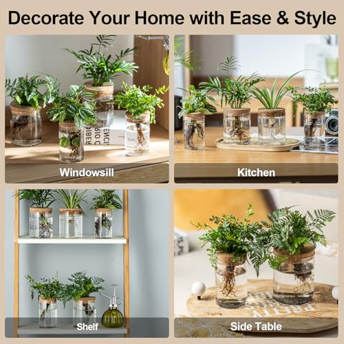 Plant Propagation Stations for Plants, 2 Size Glass Propagation Vases for Propagating Hydroponic Indoor Home Office Decor, Tabletop Glass Planter Gift for Plant Lovers (6)