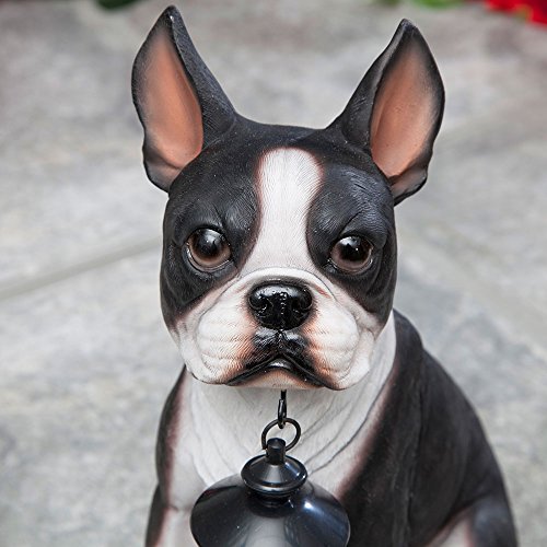 Bits and Pieces - Boston Terrier Solar Lantern Statue - Yard Decorations - Solar Powered Garden Lantern - Resin Dog Sculpture - Outdoor LED Lighting - style: BosTerrier Lantern