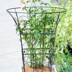 COOOXIM 27.5 x 22 Inches Peony Cages & Supports - Heavy Duty Metal Plant Obelisk Trellis for Outdoor Use, Perfect for Peonies, Roses, and Climbing Vines - Durable Garden Support Ring in M Shape - size: 27.5"x22"