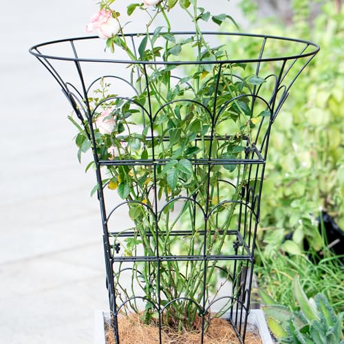 COOOXIM 27.5 x 22 Inches Peony Cages & Supports - Heavy Duty Metal Plant Obelisk Trellis for Outdoor Use, Perfect for Peonies, Roses, and Climbing Vines - Durable Garden Support Ring in M Shape - size: 27.5"x22"