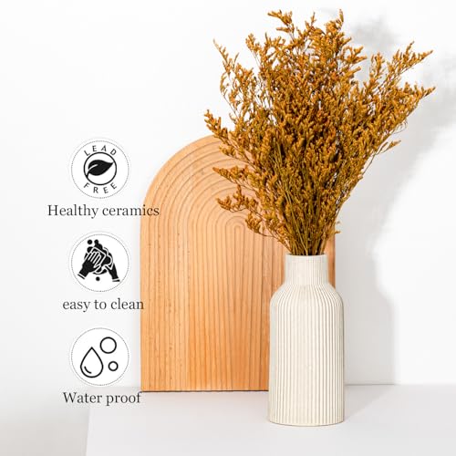 Bohemian Beige Ceramic Vase - for Pampas Grass, Mantel, Bookshelf, Entryway and Living Room Decor (Beige, Set of 3) - color: Beige, size: Set of 3