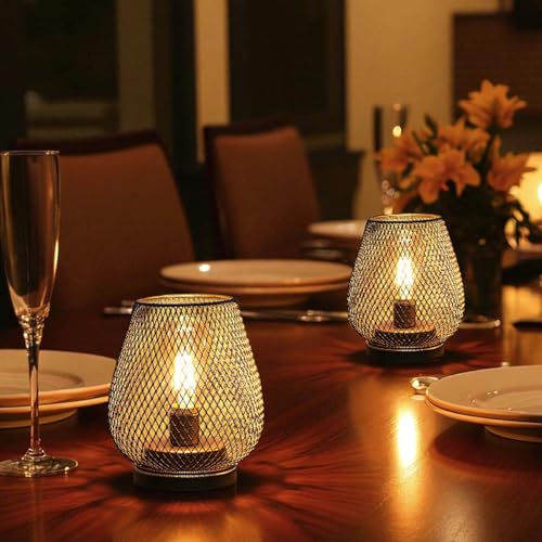 JHY DESIGN Metal Cage LED Lantern Battery Powered Cordless Accent Light with LED Great for Weddings Parties Patio Events for Indoors Outdoors - style: Single bronze egg