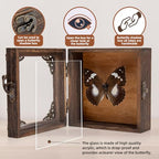 Real Taxidermy Butterfly Shadow Boxes - Framed Butterfly Unique Metal Pushpin Fixation, Oddities and Curiosities Gifts Butterfly Decoration Box (White-Spotted Nymphalid (Nymphalidae)) - color: White-spotted Nymphalid (Nymphalidae)