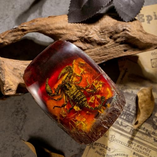 Real Scorpion Specimen in Synthetic Amber - Tree Stump Design, for Science Education, Oddities Collectors, and Nature Enthusiasts - color: Scorpion Specimen (3.94" X 2.76")