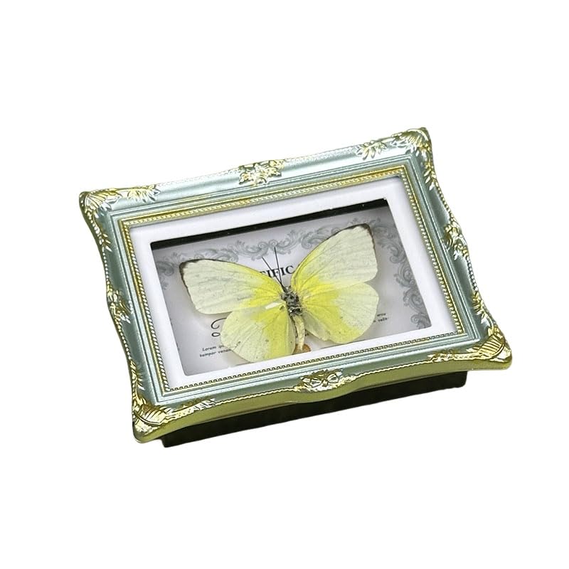 1Pcs Real Butterfly Framed Handmade, Taxidermy Butterfly Shadow Box Collection, Framed Butterfly Taxidermy for Oddities and Curiosities Gifts Tabletop Ornaments (E-Butterfly Specimen+Photo Frame) - color: E-butterfly Specimen+photo Frame