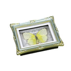 1Pcs Real Butterfly Framed Handmade, Taxidermy Butterfly Shadow Box Collection, Framed Butterfly Taxidermy for Oddities and Curiosities Gifts Tabletop Ornaments (E-Butterfly Specimen+Photo Frame) - color: E-butterfly Specimen+photo Frame