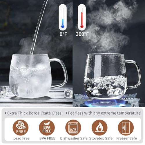 DOPUDO Glass Teacups 24 Pack Glass Tea Cup with Infuser and Lid, 17.6oz/520ml Large Borosilicate Teacup,Tea Clear Mug Cup for Loose Leaf Blooming Tea, Microwave & Dishwasher Safe. - size: 24 Count (Pack of 1)