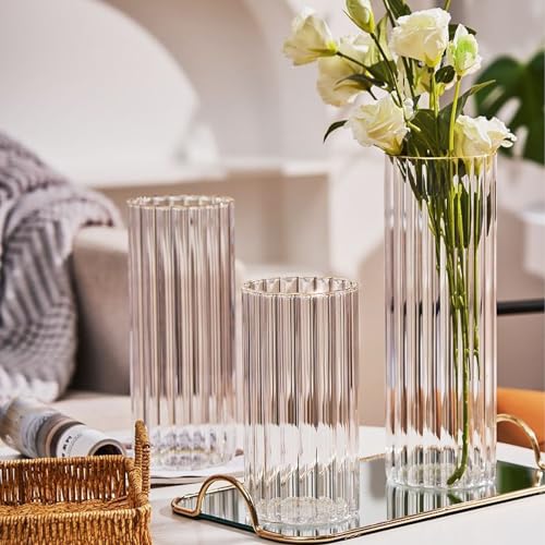 10 inch Clear Glass Flower Vases,Ribbed Vase for Centerpiece Table Home Indoor Desk Decor, Modern Boho Style Vase for Wedding House Gift - color: Large Clear