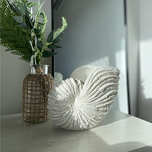 Nautilus Shell Sculpture - Replica Beach Themed Ocean Decor for Home - Rustic White Resin 10¼" x 6" x 8" Crafted Coastal Seashell Shelf Decor Gift-Boxed