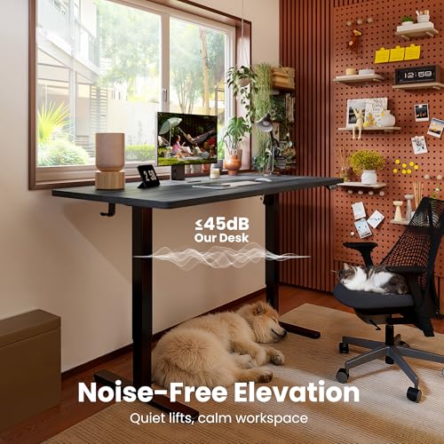 ErGear Height Adjustable Electric Standing Desk, 40 x 24 Inches Sit Stand up Desk, Memory Computer Home Office Desk, Grey - color: Grey, size: 39.4 x 23.6 Inches