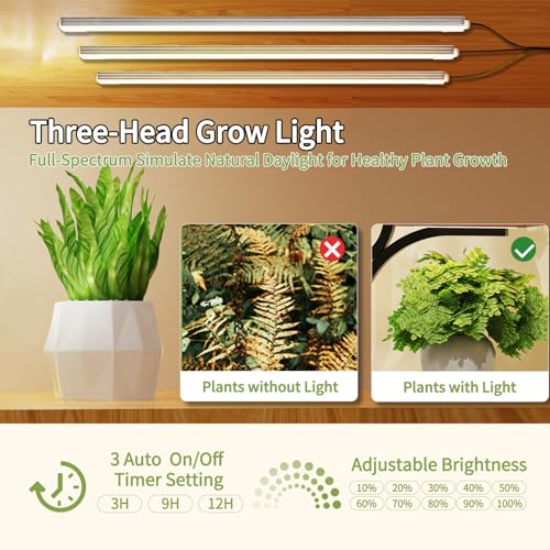 Indoor Plant Stand with LED Grow Light,8-Tier S-Shaped Corner Plant Stand,48.43 Inch Heavy,Duty Metal Indoor Plant Rack for Home, Balcony and Living Room