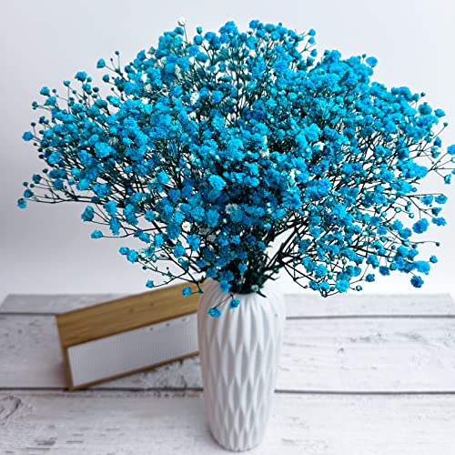 Preserved Baby's Breath 3 Bunches, 100% Natrual Fresh Gypsophila Long Lasting Flowers for Vase Arrangements Home Decoration Photo Props Parties and Weddings, DIY Décor-Light Blue - color: Light Blue