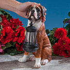 Bits and Pieces - Dog Solar Lantern Statue - Solar Powered Garden Lantern - Resin Dog Sculpture with LED Light - Outdoor Lighting and Décor (Boxer) - style: Boxer