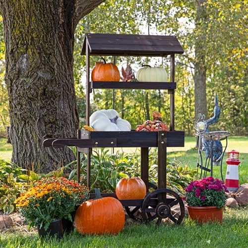 Sunnydaze Country Market Flower Cart Display Stand with Wheels - 2 Shelves - Fir Wood - 30 lb Weight Capacity - Charred Fir - color: Charred Fir