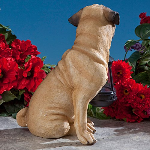 Bits and Pieces - Fawn Pug Solar Lantern Statue - Solar Powered Garden Lantern - Resin Dog Sculpture with LED Light - Outdoor Lighting and Décor - style: Fawn Pug Lantern