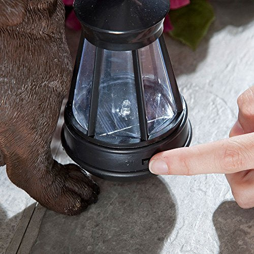 Bits and Pieces - Dog Solar Lantern Statue - Solar Powered Garden Lantern - Resin Dog Sculpture with LED Light - Outdoor Lighting and Décor (Dachshund) - style: Dachshund