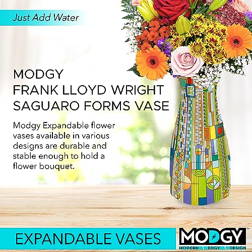 MODGY Collapsible and Expandable Flower Vase Plastic Decorative Modern Centerpieces Dining Table Decor Living Room Bathroom Wedding Office, Frank Lloyd Wright, Saguaro - style: Saguaro