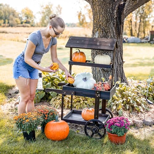 Sunnydaze Country Market Flower Cart Display Stand with Wheels - 2 Shelves - Fir Wood - 30 lb Weight Capacity - Charred Fir - color: Charred Fir