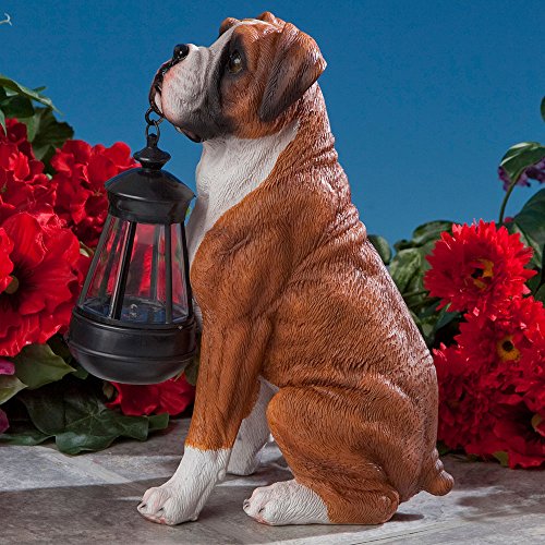 Bits and Pieces - Dog Solar Lantern Statue - Solar Powered Garden Lantern - Resin Dog Sculpture with LED Light - Outdoor Lighting and Décor (Boxer) - style: Boxer