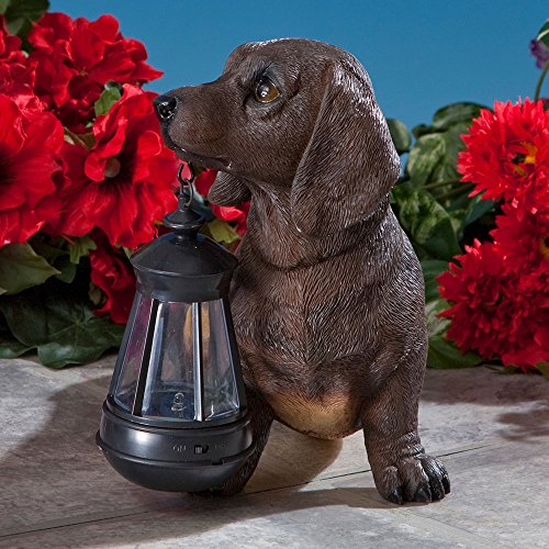 Bits and Pieces - Dog Solar Lantern Statue - Solar Powered Garden Lantern - Resin Dog Sculpture with LED Light - Outdoor Lighting and Décor (Dachshund) - style: Dachshund