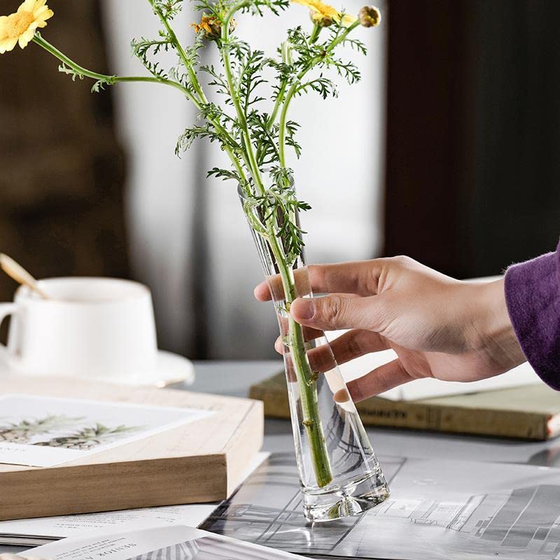 Hand-Made Blown Bud Vase Clear Small Glass Flower Vase Single Stem Vases for Home Wedding Decor 7.87inch Height - size: 20cm/7.87inch