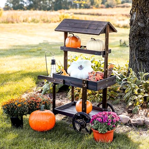 Sunnydaze Country Market Flower Cart Display Stand with Wheels - 2 Shelves - Fir Wood - 30 lb Weight Capacity - Charred Fir - color: Charred Fir
