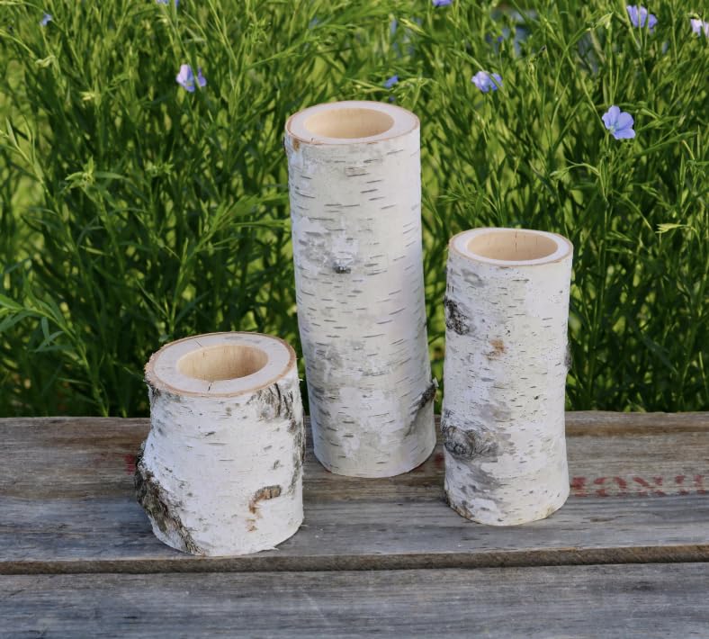 Rustic White Birch Wood Candle Holders Set – Natural Log Centerpiece Decor for Wedding, Holiday, or Everyday Use – Set of 3 Sizes (Tea Light Size Hole) - color: Tea Light Size Hole