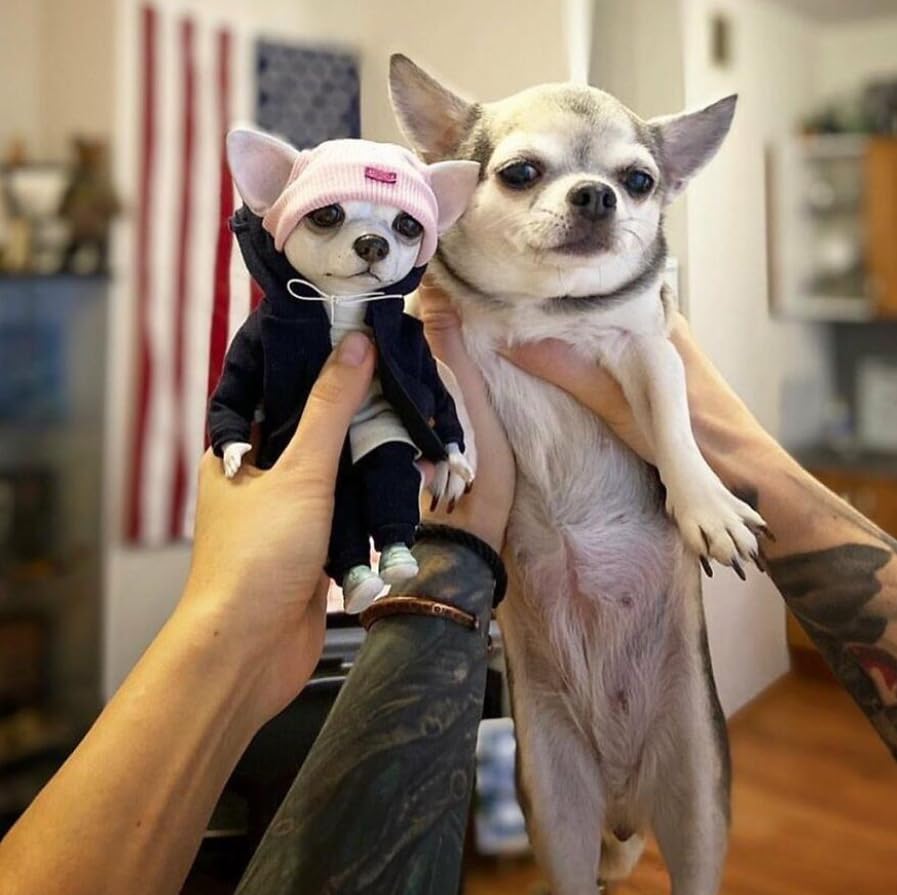 2025 Coolest Dog Sculpture for Home, Dog Statue Crafts Living Room Desktop Decorations,Handmade Casual Small Resin Animal Statue Ornament Home Decor Black - color: Black and Pink
