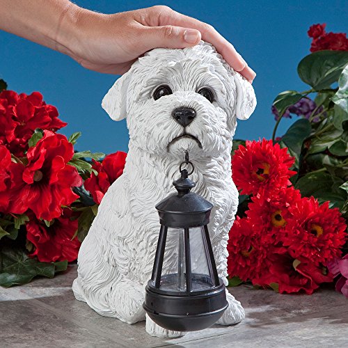 Bits and Pieces - Dog Solar Lantern Statue - Solar Powered Garden Lantern - Resin Dog Sculpture with LED Light - Outdoor Lighting and Décor (Bichon) - style: Bichon