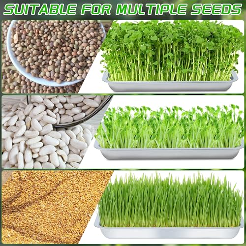 Plant Germination Trays, Stainless Steel Plant Trays Stainless Metal Trays Stainless Steel Seed Starter Carry Trays Nursery Seedling Pots Water Collection Transplantation (6PCS)