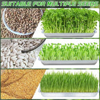 Plant Germination Trays, Stainless Steel Plant Trays Stainless Metal Trays Stainless Steel Seed Starter Carry Trays Nursery Seedling Pots Water Collection Transplantation (6PCS)