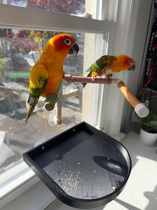 CleanPerch™ Bird Food Waste Catcher Tray with Suction Cups. Half Stadium Shape That attaches to Windows. Reduces Scatter, Easy-Clean, and Low-Profile (Black, 12" x 11.5" x 3.7") - color: Black, size: 12" x 11.5" x 3.7"