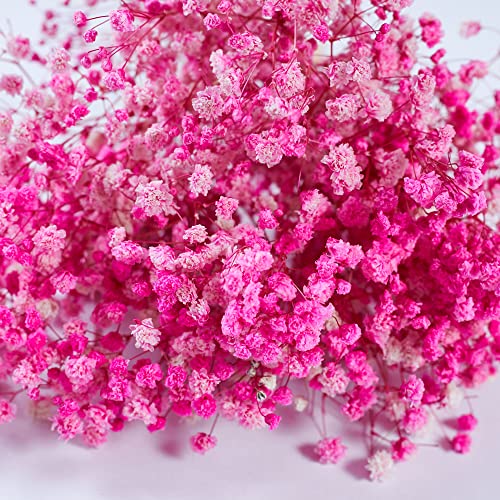 Preserved Baby's Breath 3 Bunches, 100% Natrual Fresh Gypsophila Long Lasting Flowers for Vase Arrangements Home Decoration Photo Props Parties and Weddings, DIY Décor-Pink - color: Pink