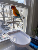 CleanPerch™ Bird Food Waste Catcher Tray with Suction Cups. Half Stadium Shape That attaches to Windows. Reduces Scatter, Easy-Clean, and Low-Profile (White, 9" x 11.5" x 3.7) - color: White, size: 9" x 11.5" x 3.7"