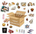10Pcs Mystery Natural Oddities Collection Box - Real Fossils, Crystals & Taxidermy in Glass Vials | Dark Academia Decor for Adults & Kids | Witchy Curio Cabinet Decor | Unique Gifts for Science Lovers - style: 10PCS