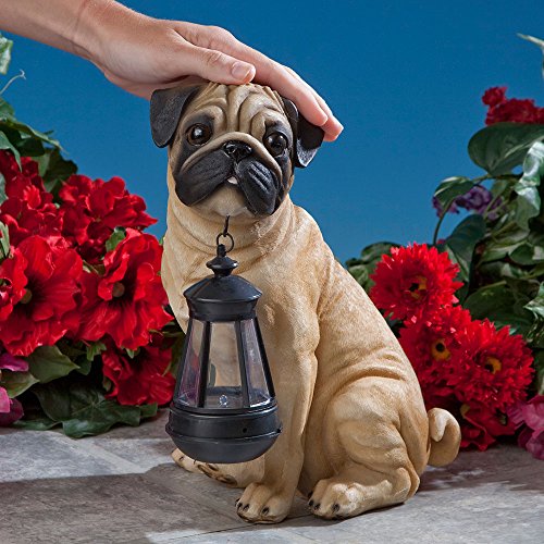 Bits and Pieces - Fawn Pug Solar Lantern Statue - Solar Powered Garden Lantern - Resin Dog Sculpture with LED Light - Outdoor Lighting and Décor - style: Fawn Pug Lantern