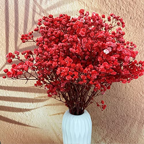 Preserved Baby's Breath 3 Bunches, 100% Natrual Fresh Gypsophila Long Lasting Flowers for Vase Arrangements Home Decoration Photo Props Parties and Weddings, DIY Décor-Red - color: Red
