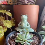 OwMell Ceramic Zen Frog Decor, Ceramic Yoga Pose Meditation Frog Staute for Home Zen Decoration - Prayer - style: Prayer
