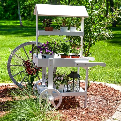 Sunnydaze Flower Cart Display Stand with Wheels - Dessert Candy Cart - Market Flower Display Stand - 2 Shelves - Fir Wood - White - color: White